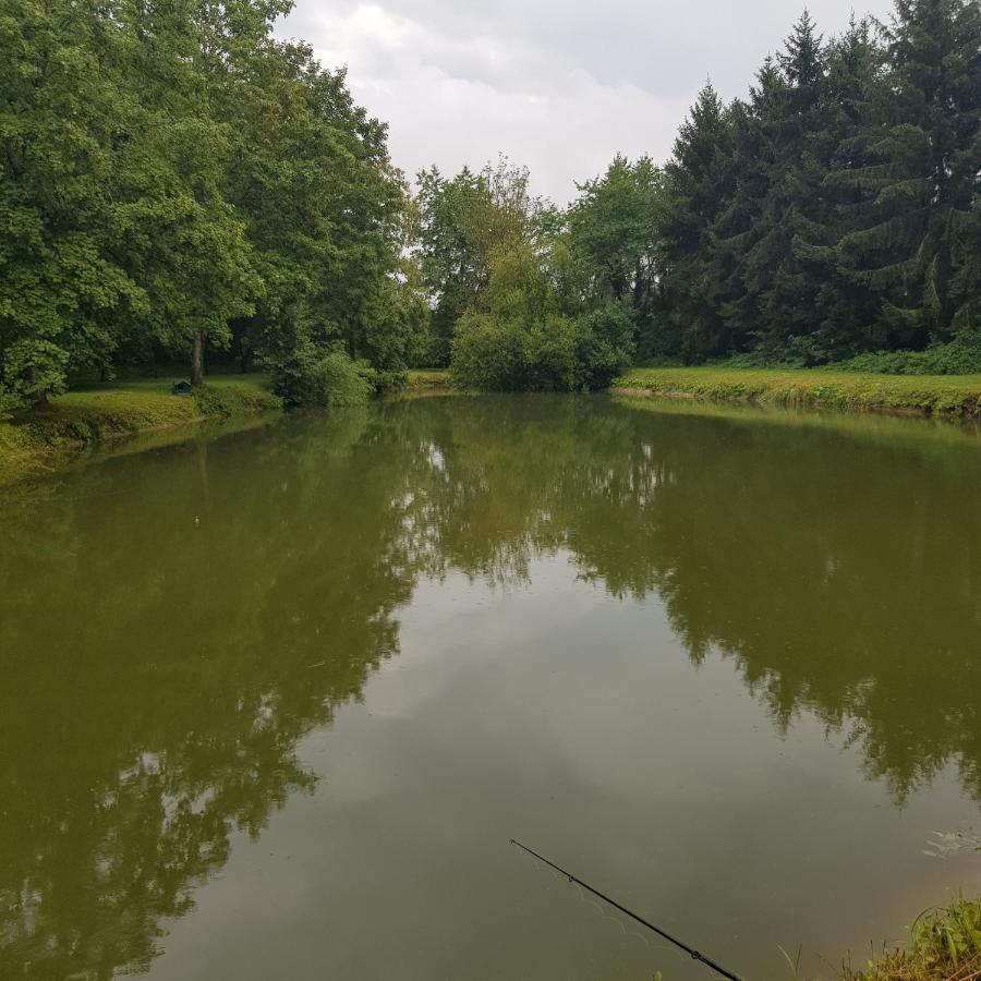 Saint-Denis-lès-Rebais Sur La Route De Champ Colinヴィラ エクステリア 写真